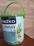 Farba śnieżka klon srebrzysty