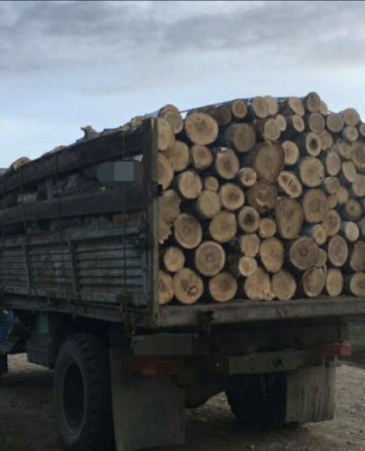 Продам дрова Дуб Окация Ясен Клен  Сосна  Липа