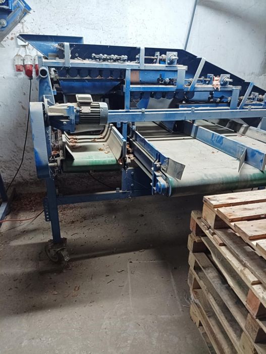 Sortownik do cebuli, buraczku i ziemniaków