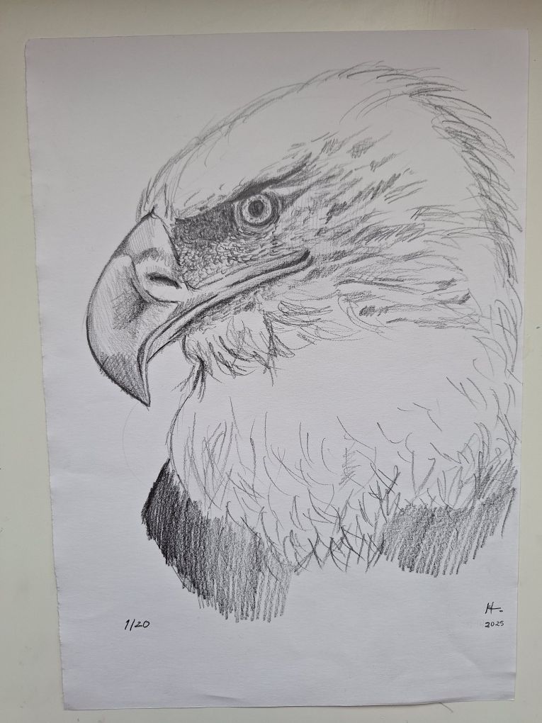 Serigrafia a Carvão Desenho Científico