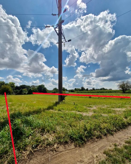 Продам будинок с.Зелене Чортківський (Борщівський) р-н, Тернопіл. обл.