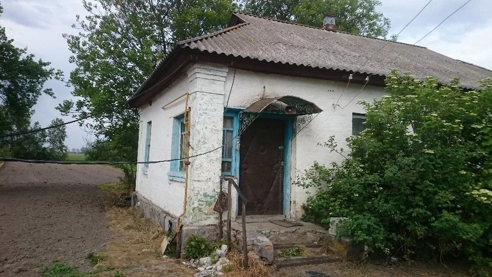 Продам дом с участком 33 сотки в Козельце (Лихолетки)