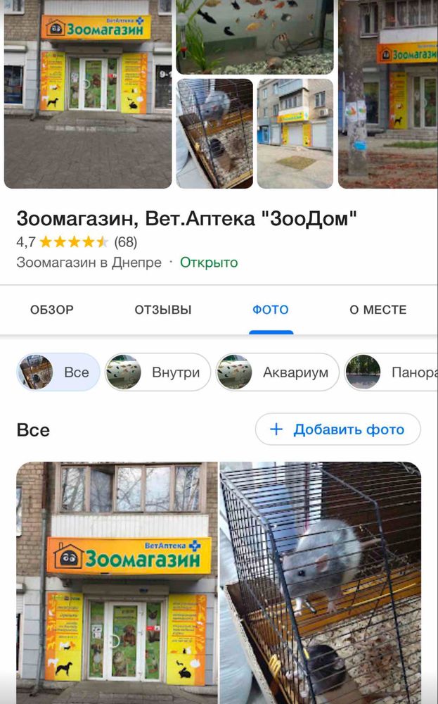 Когтеточки для котов