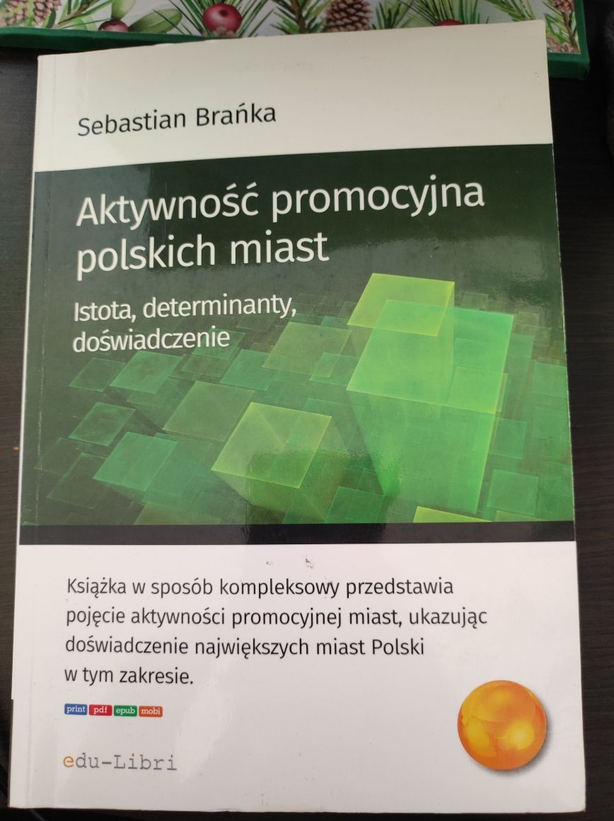 Aktywność promocyjna polskich miast. S. Brańka 2018