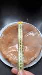 Grzyb kombucha.  15-16 cm