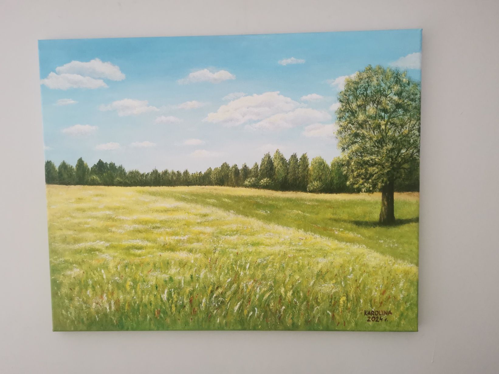Obraz akrylowy "Łąka" 40x30
