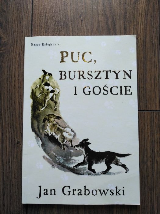 Lektura Puc Bursztyn i Goście Jan Grabowski