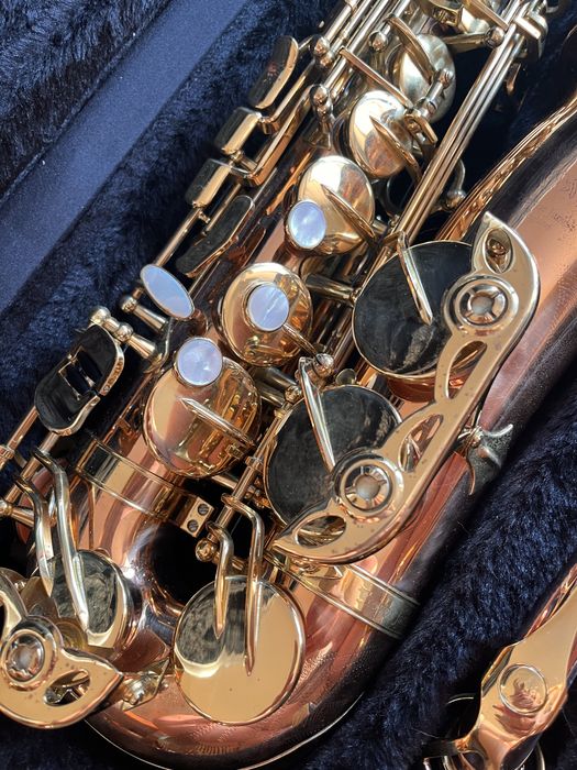 saksofon altowy Trevor James Signature Custom