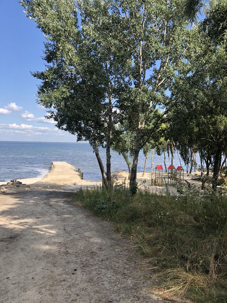 Старые Петровцы. Побережье Киевского моря, хвойный лес, закрыт. террит