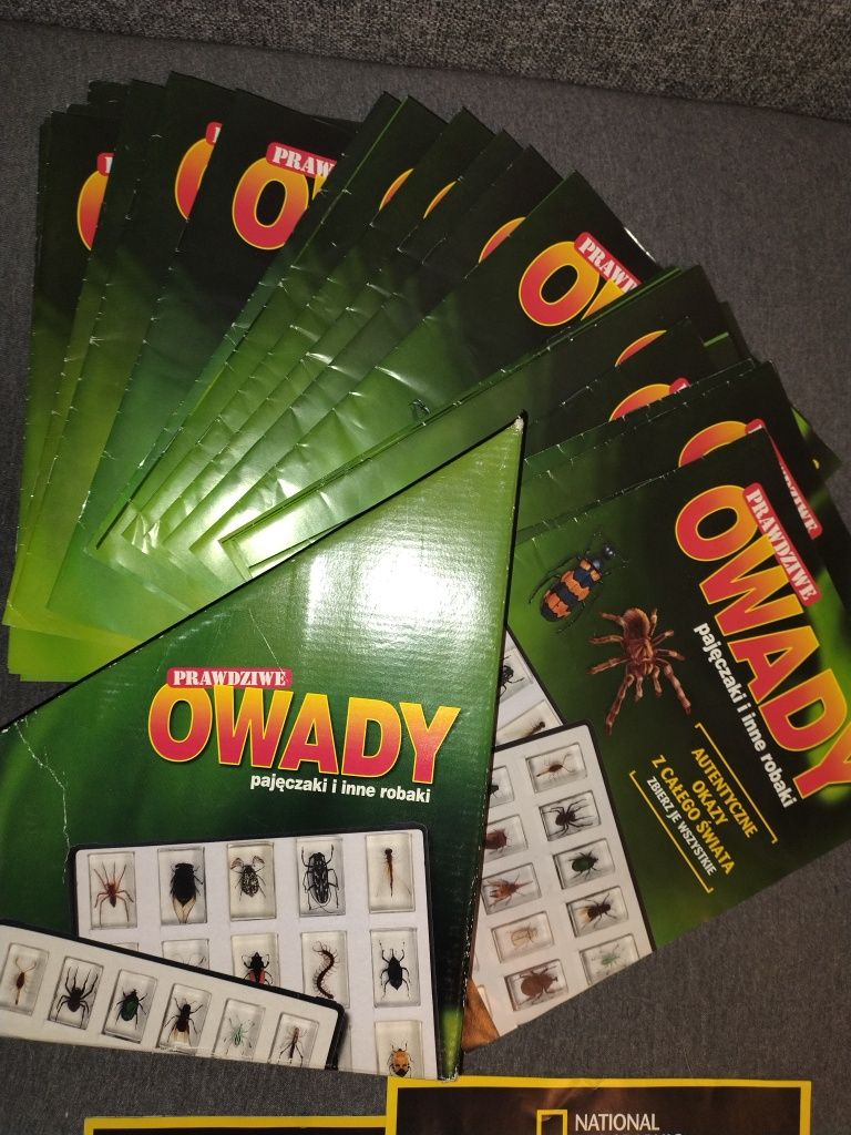 Owady w żywicy + gratisy