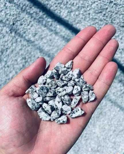 Grys Granitowy Dalmatyńczyk Kamień Ozdobny do Ogrodu Akwarium 8-16 mm