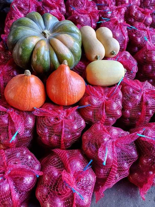 ziemniaki cebula dynia z dostawom do domu