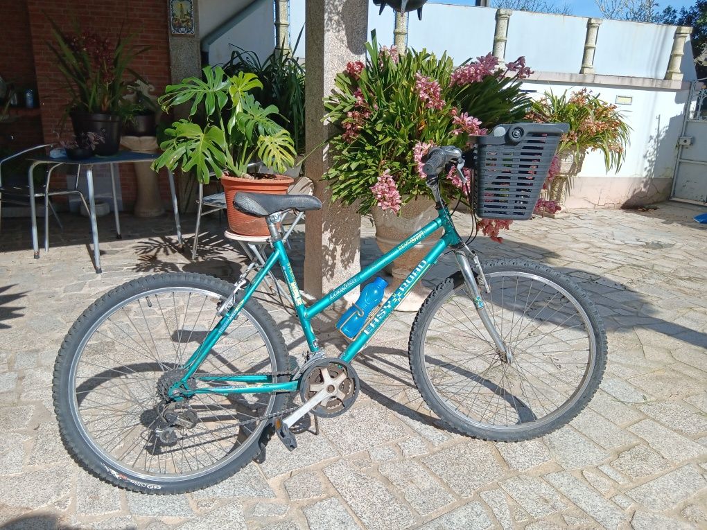 Bicicleta de senhora,  mulher