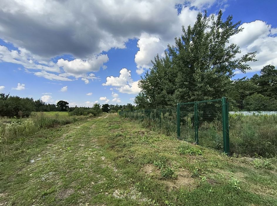 Ферма для вирощування птиці.