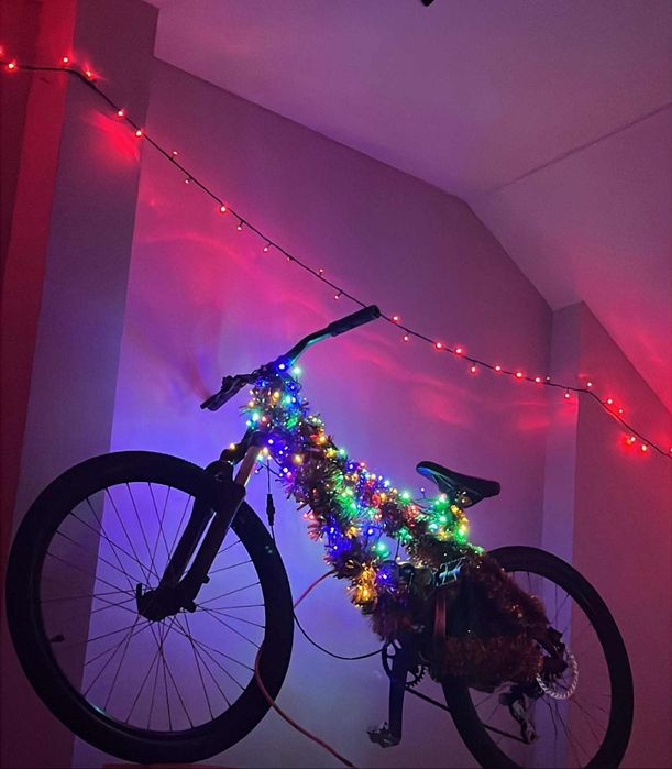 Rower Kellys whip 10 (dirt)
