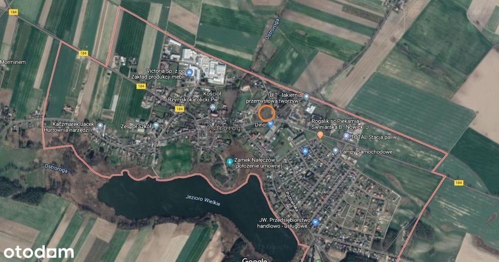 Działka pod dzierżawę obok marketu Dino - Ostroróg