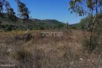Terreno e pedreira licenciada com 11.880 m2 Zambujal
