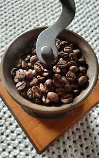 Wysokiej jakości Brazylijska kawa typu arabica