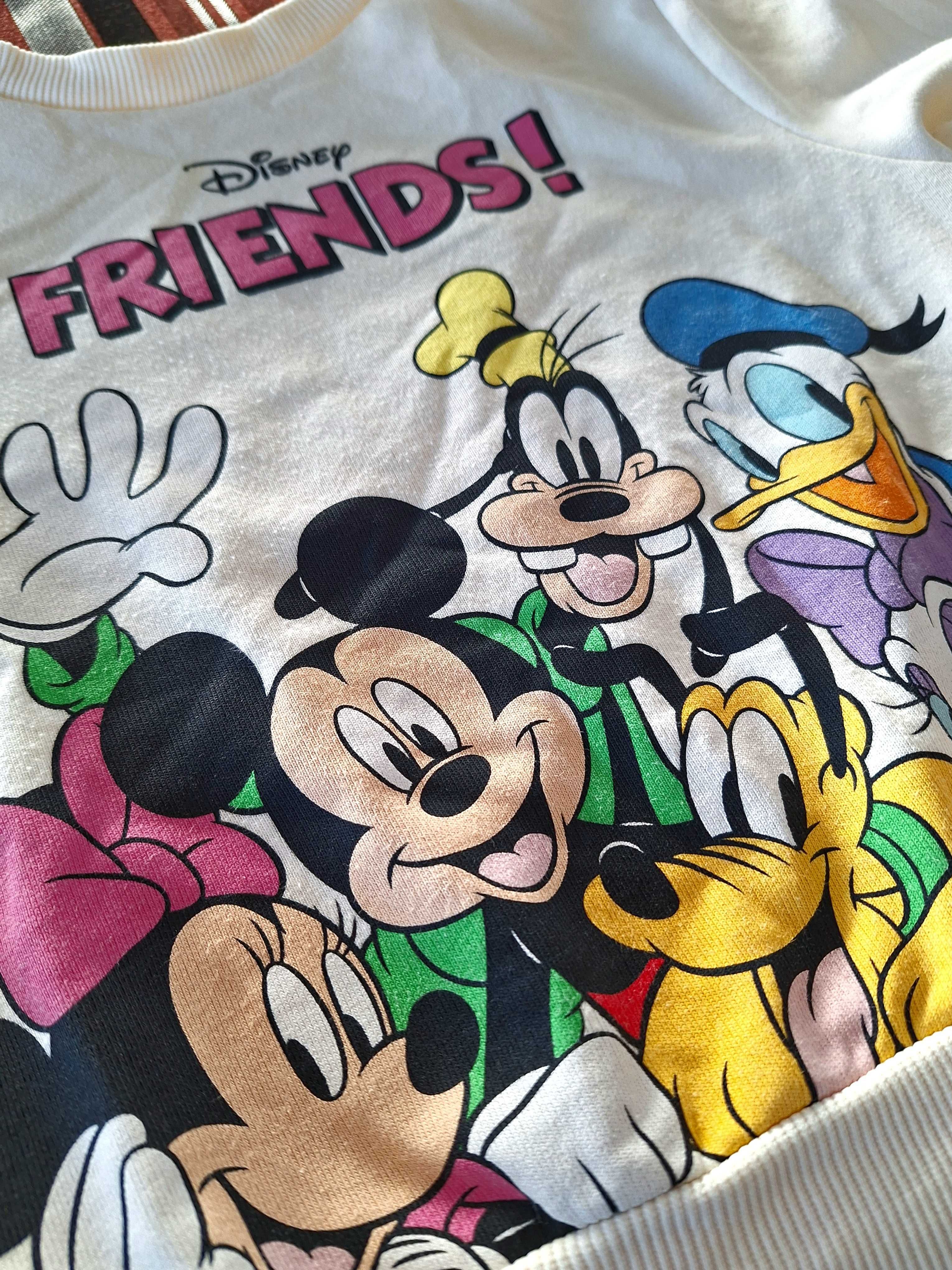 Bluza Disney Friends H&M 98-104, 2-4lata