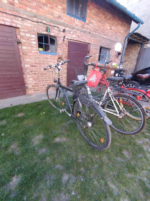 Rower męski Deichgrai