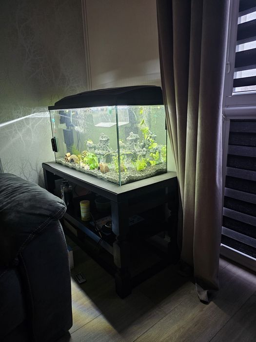 Akwarium 120l  nowy filtr!!! Stolik