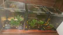 Akwarium aquael 30l