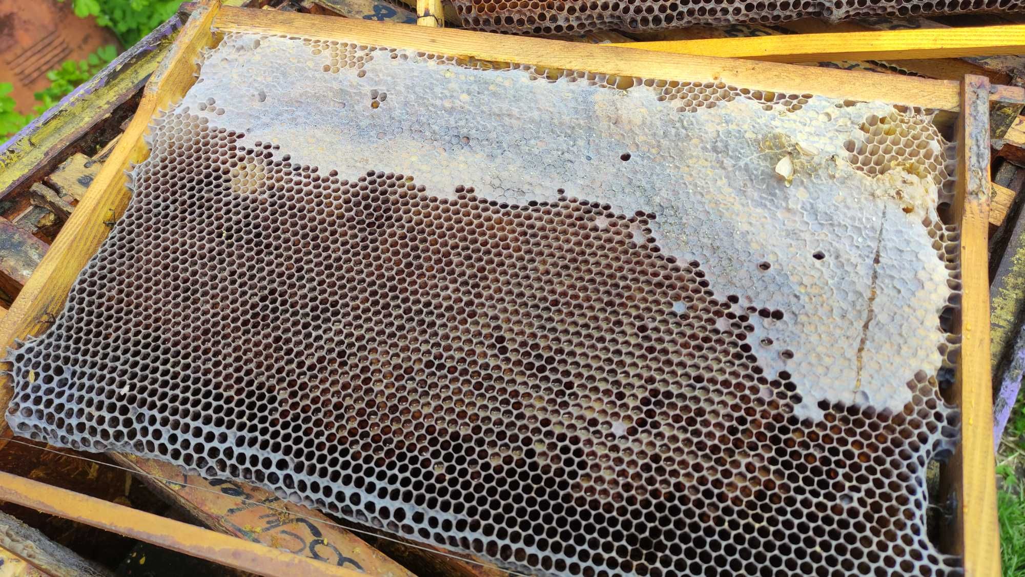 Для бджолярів суш - рамки для бджолосімей
