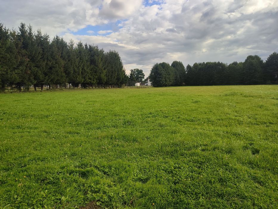 Działka Budowlana  z Potencjałem na Firmę Prostyń  Obok Szkoły 0,92 ha