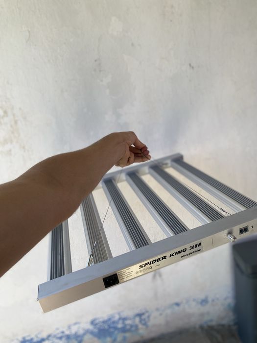 Lâmpada LED Spider King 360W – Quase nova!
