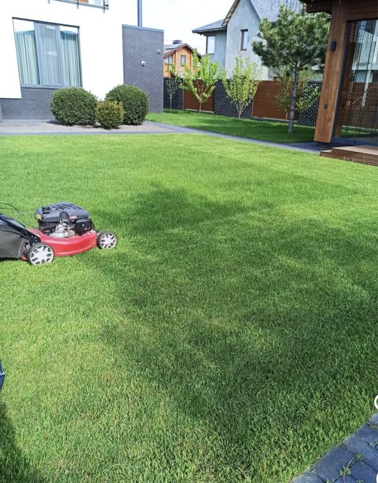 Топіарна стрижка рослин, догляд за вашою ділянкою, покіс газону