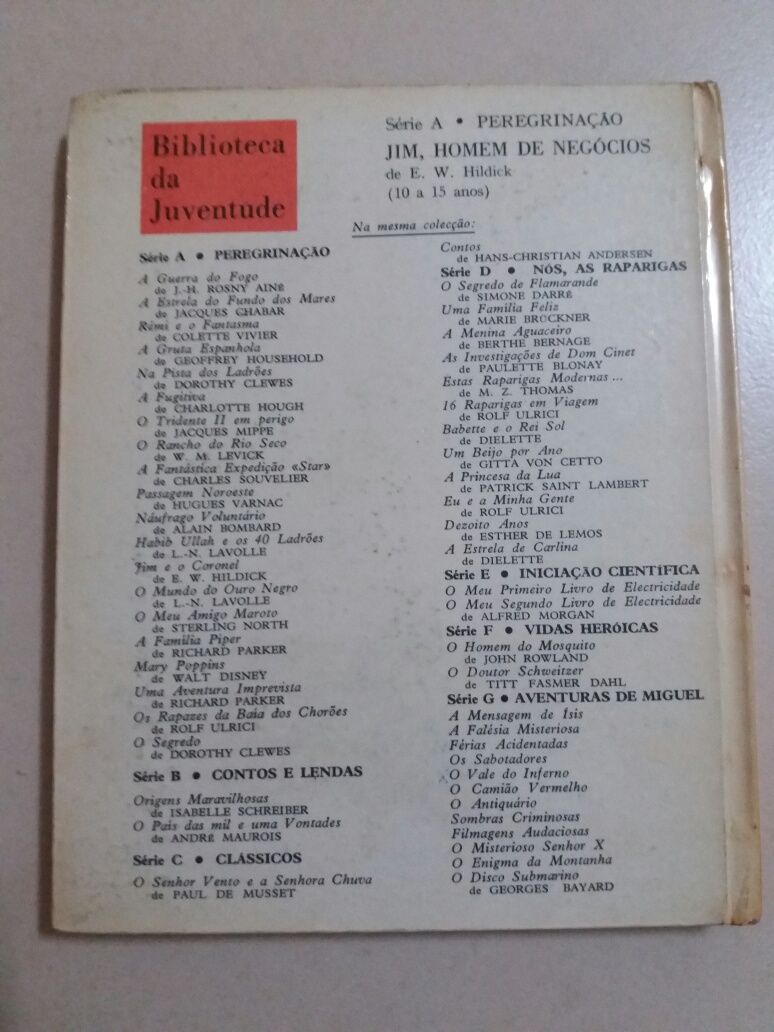 Livro juvenil antigo: Jim Homem de Negócios de E. W. Hildick  (1976)