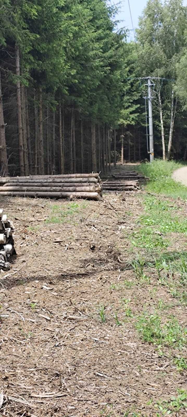 Drewno świerkowe z domieszką sosny – 12 m³