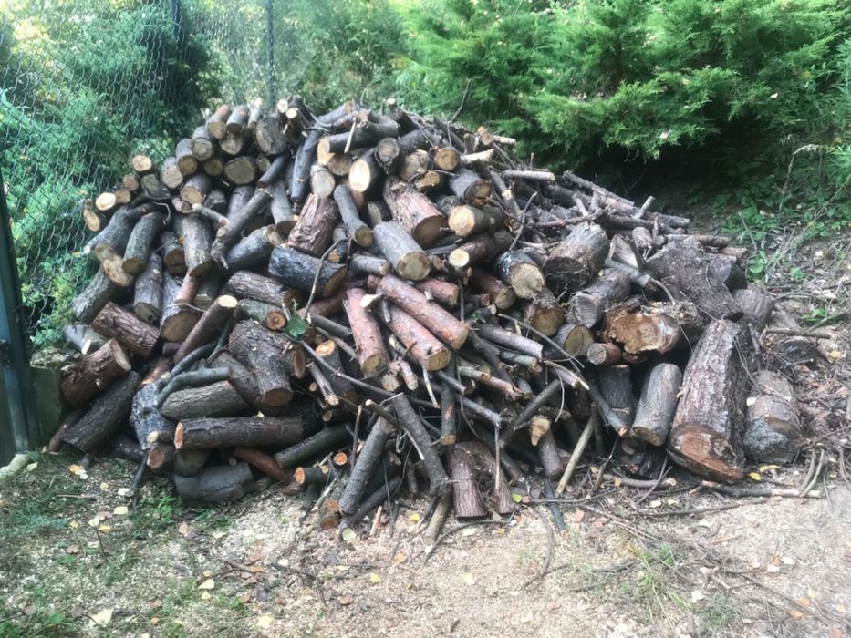 drewno opałowe pocięte