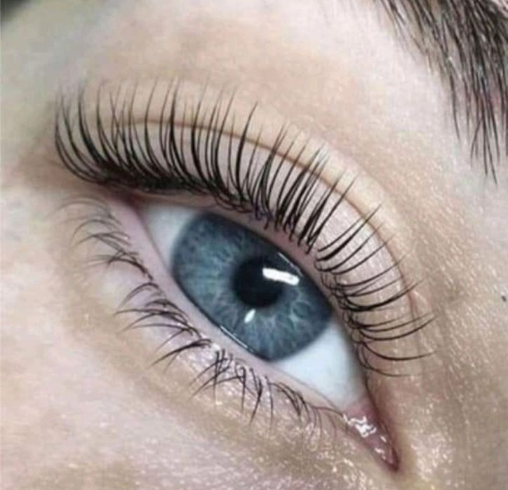 Ламінування вій - 400 грн. Корекція і фарбування брів