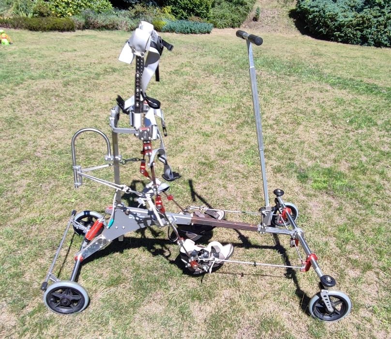 NF Walker pionizator