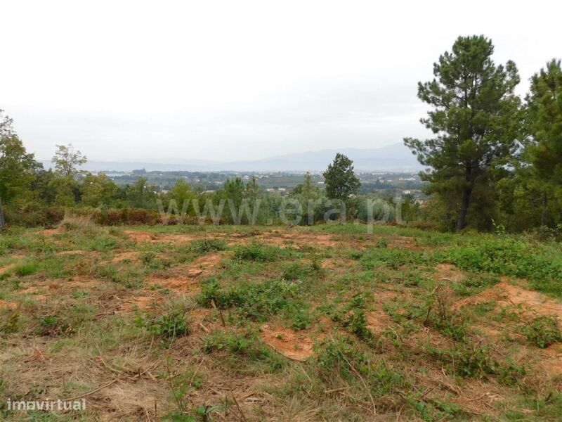Terreno Rústico / Fundão, Alcaide