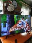 Smart TV LG 55 cali 4k