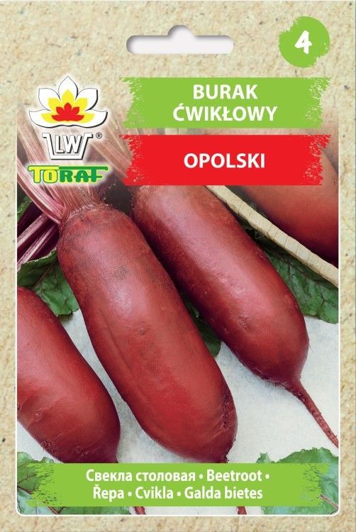 w1014 burak nasiona buraka ćwikłowy buraki podłuż
