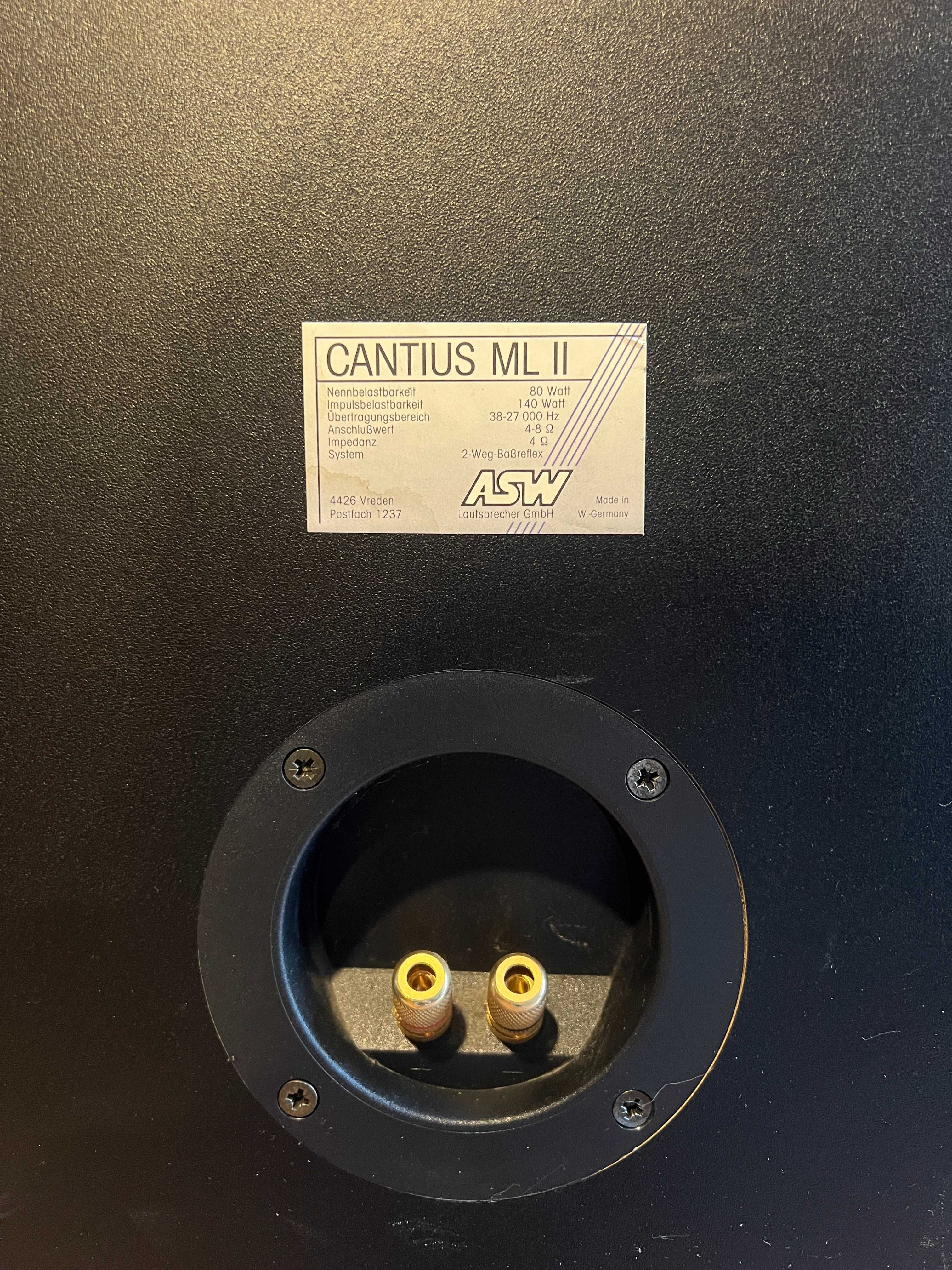 Kolumny podstawkowe ASW Cantius MS II monitory, Audio Room
