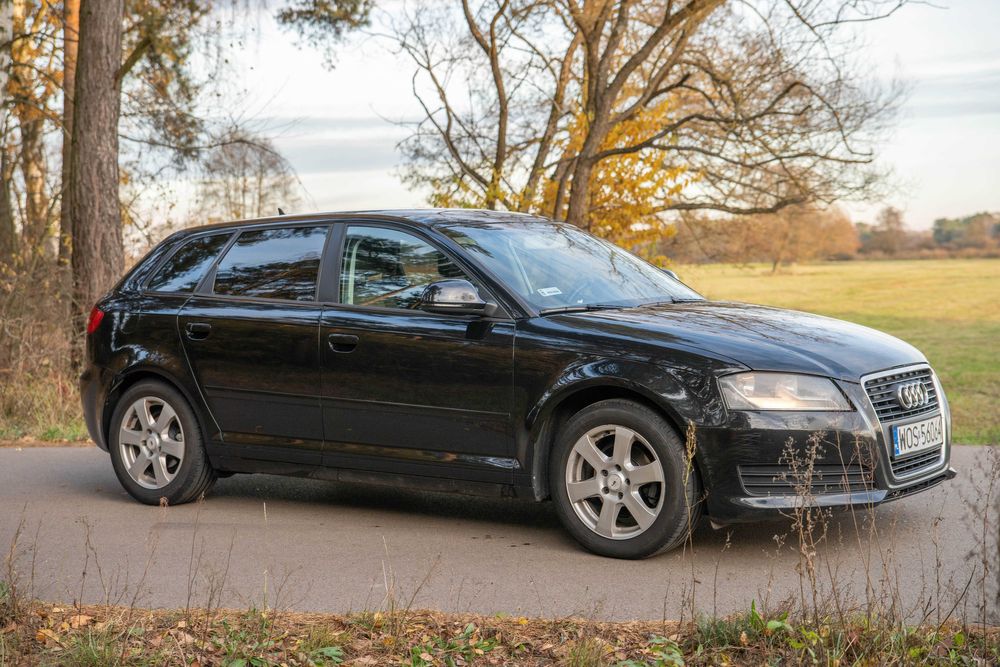 Audi A3 8P 1.9TDI