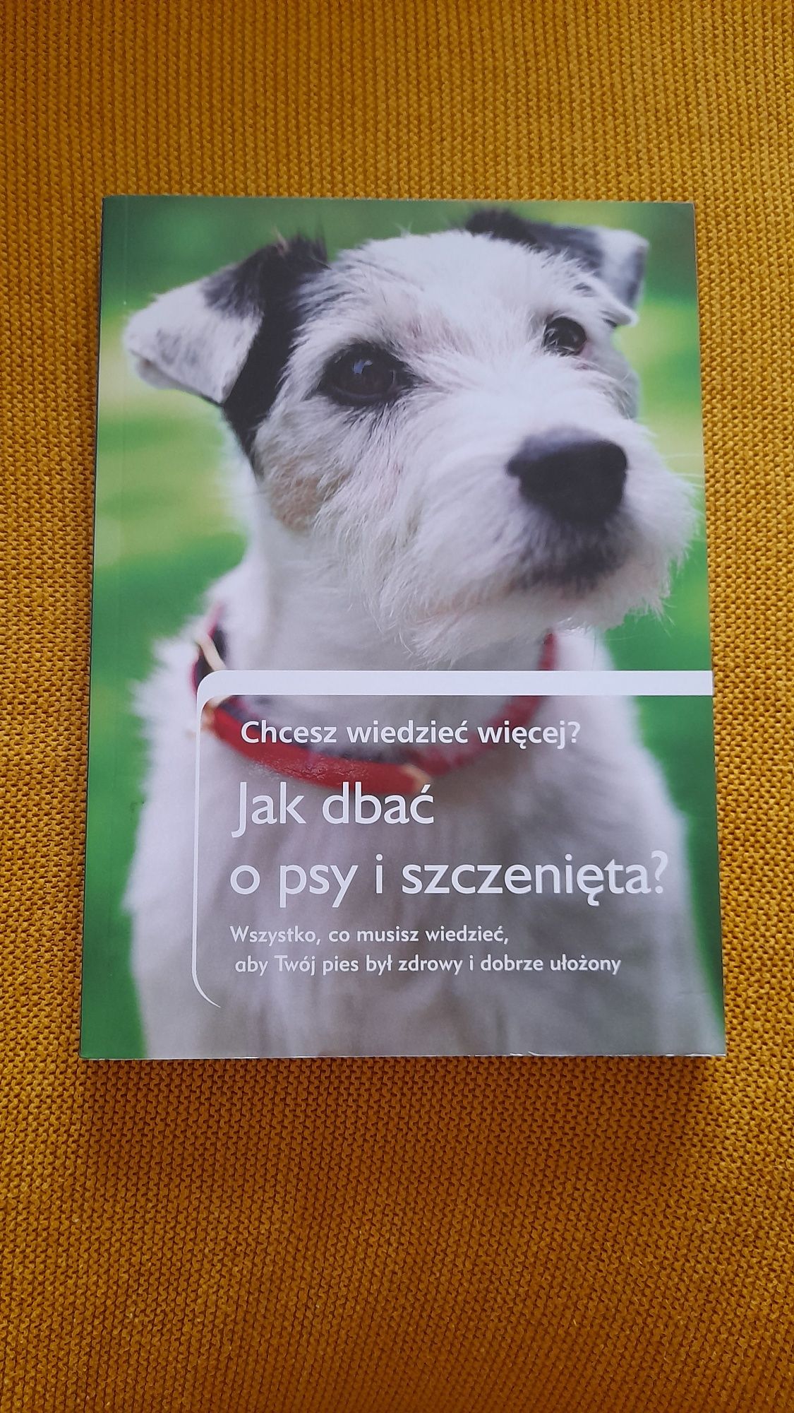 Jak dbać o psy i szczenięta?