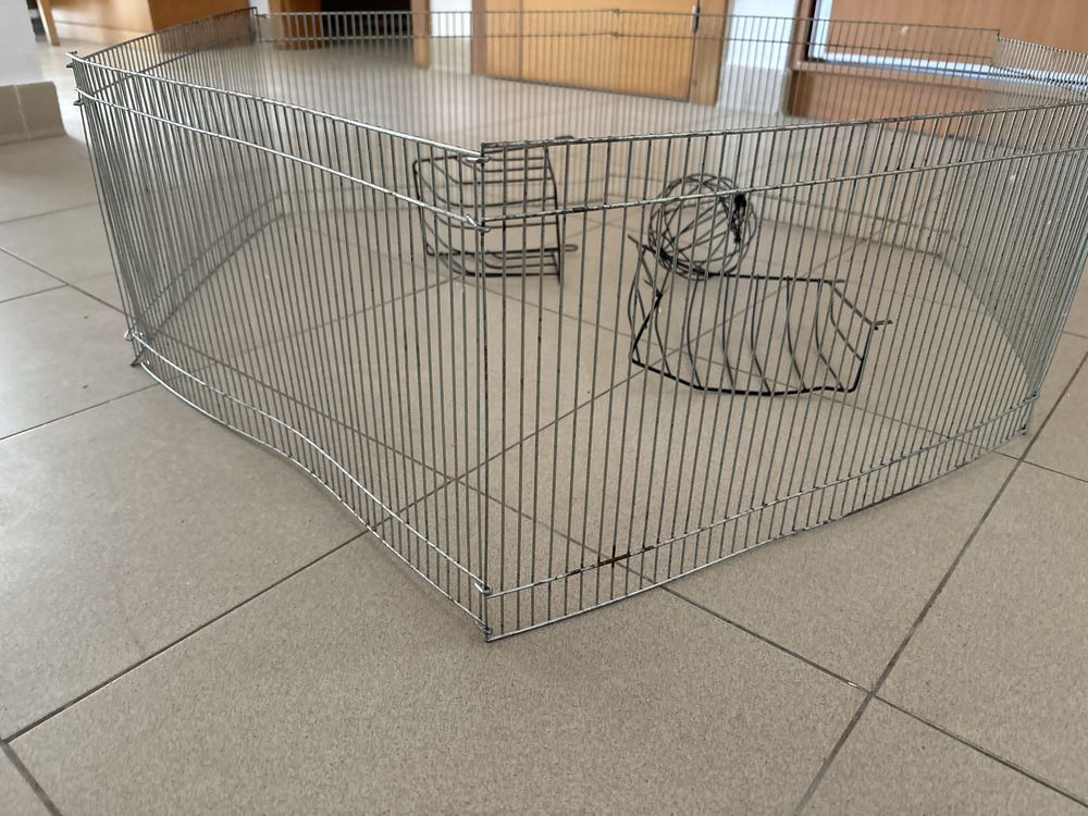 Acessorios para coelhos