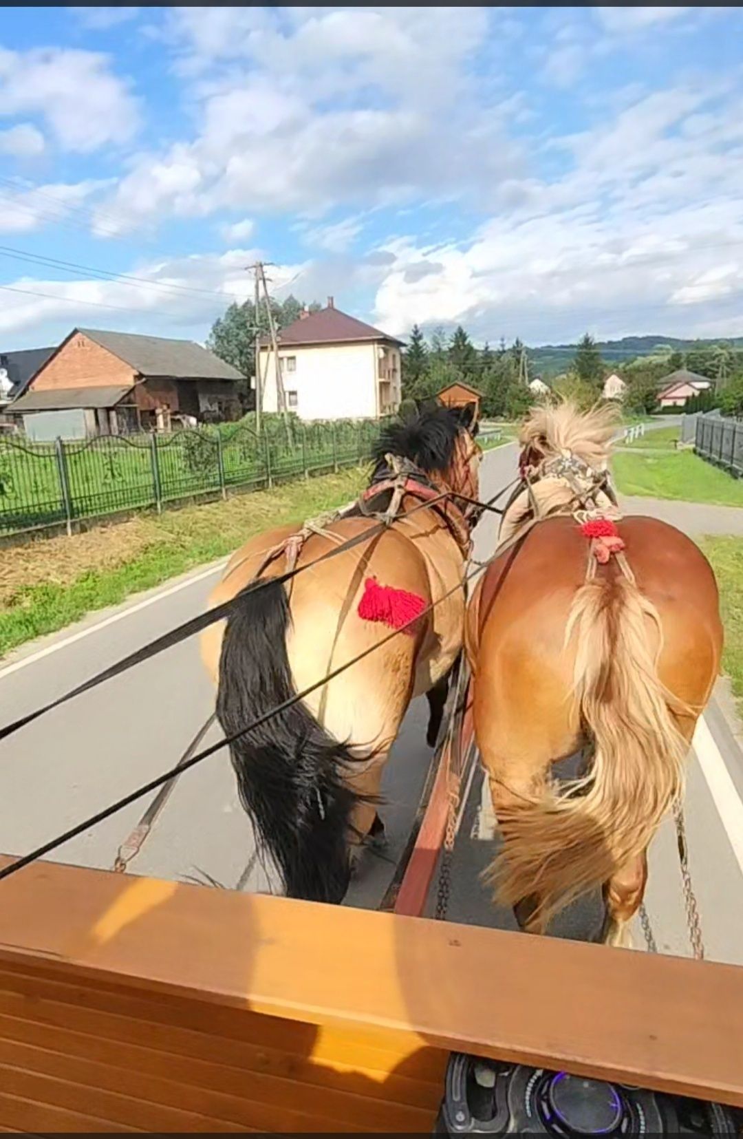 Sprzedam klacz ze źrebięciem