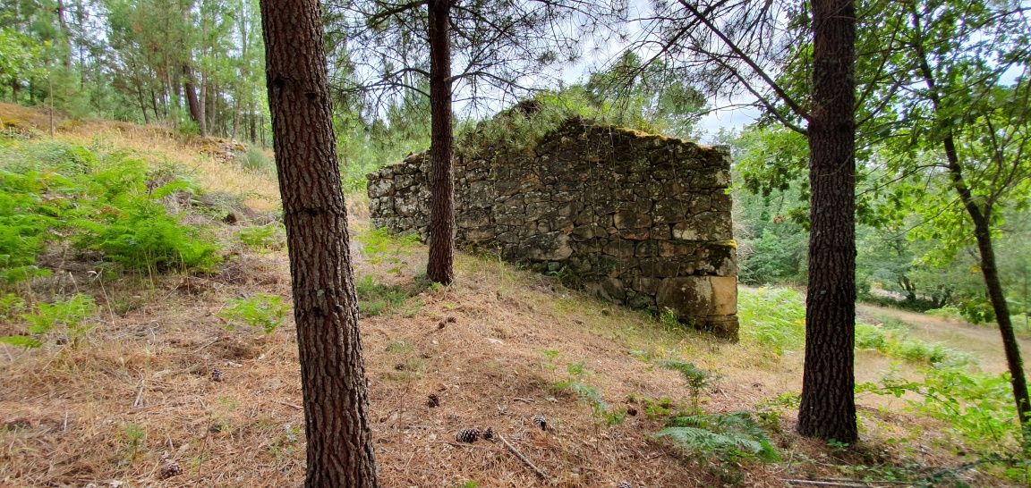 Quintinha com Casa para Reconstrução