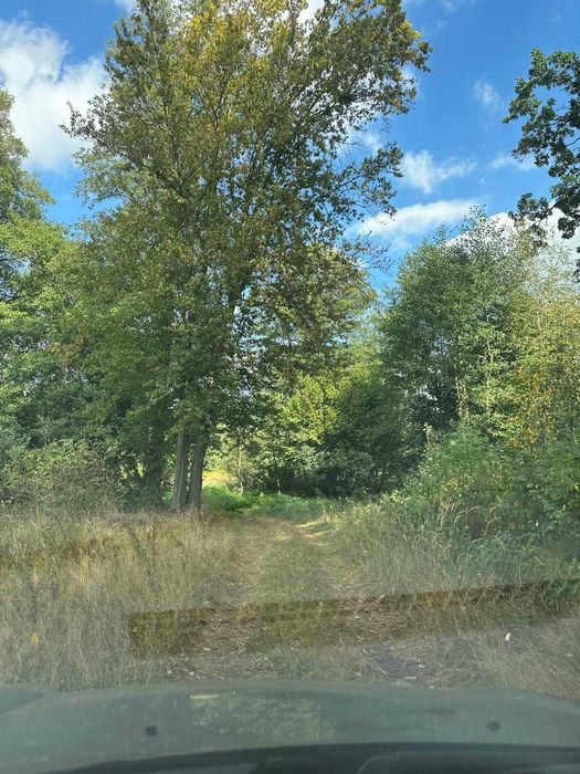 Działka 5100m2 pod lasem, siedlisko