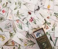 Karty LOMO 100 sztuk Notes On Nature Kwiaty Dekoracyjne Scrapbooking