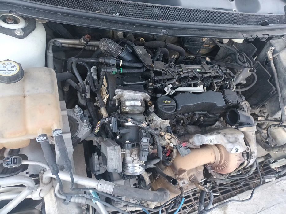 Motor Ford Focus 1.6 TDCi 109 cv Diesel ref. G8DA  2004 a 2012
