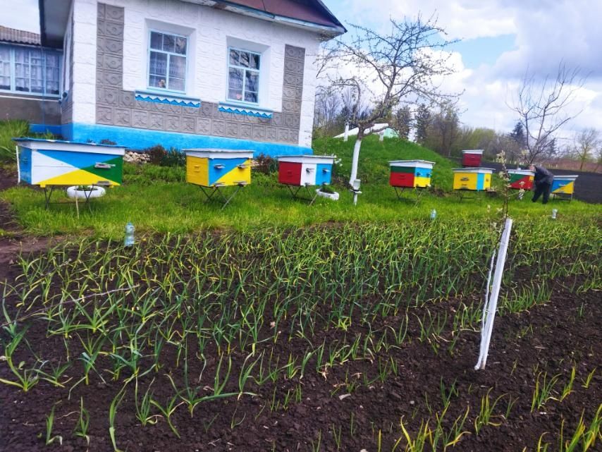 Продампасіку на даданівську рамку