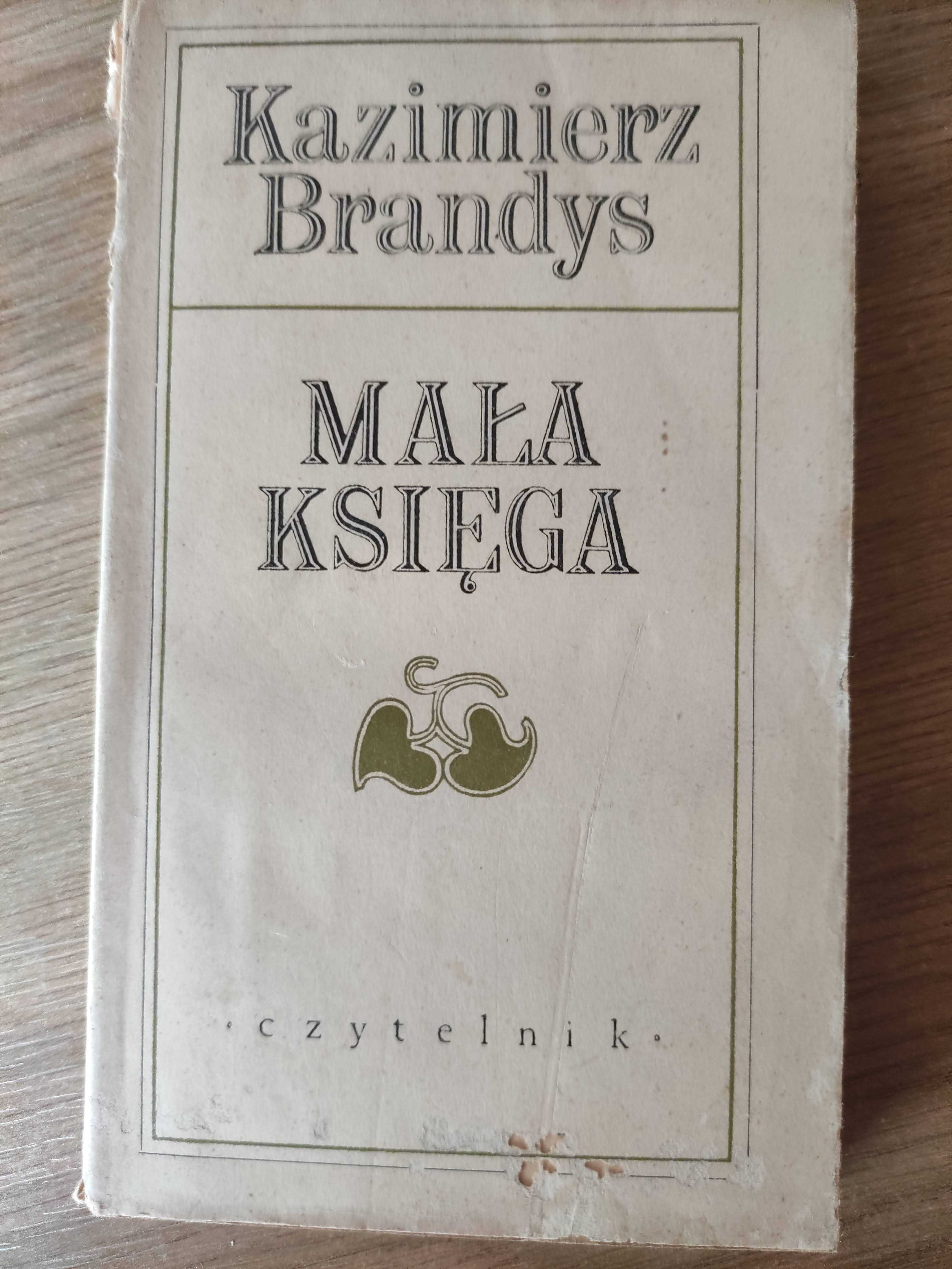 Mała księga - Kazimierz Brandys