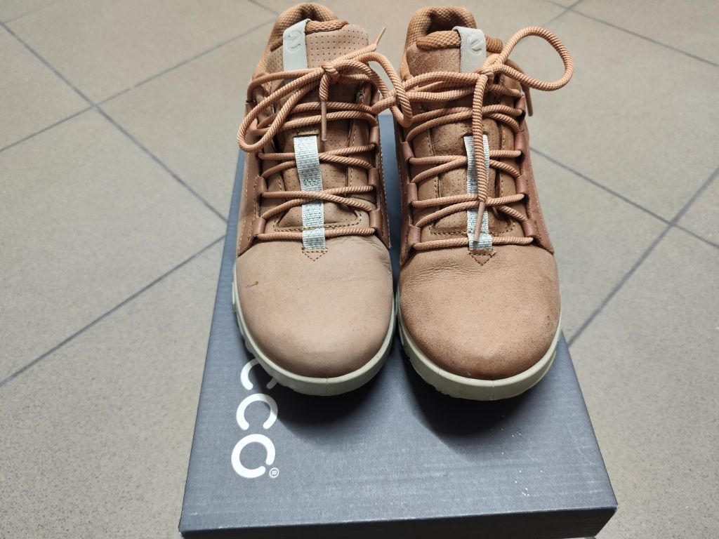 Buty Ecco Multi-Vent rozmiar 38 Low Gtxs Nub
